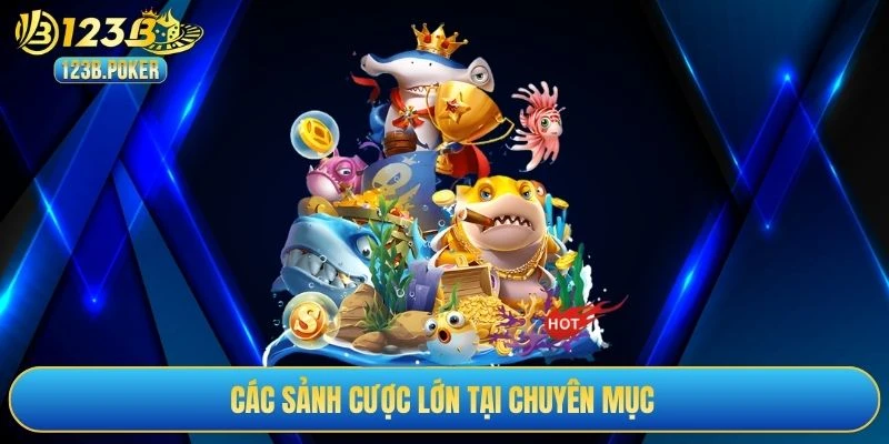 Các sảnh cược lớn tại chuyên mục